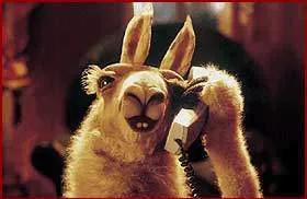 A phone-calling llama